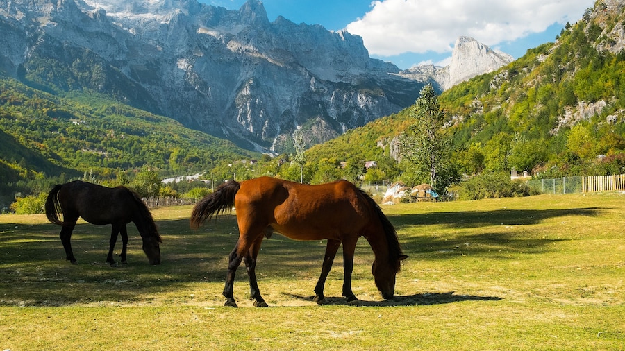Albania 2-days tour from Tirana/Durres to Theth and Shkoder
