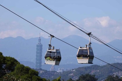 Taipei: Maokong Cable Car & Taipei Zoo eller Taiwan Tea Combo