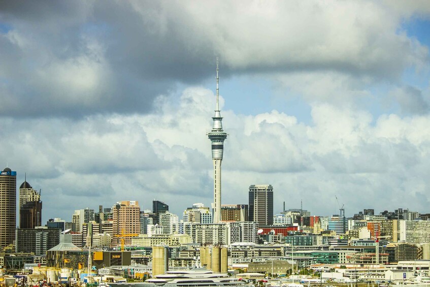 Picture 3 for Activity Auckland Welcome Tour: Private Tour with a Local