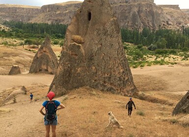 Cappadocië: Halve dag wandelen Love & Pigeon Valley