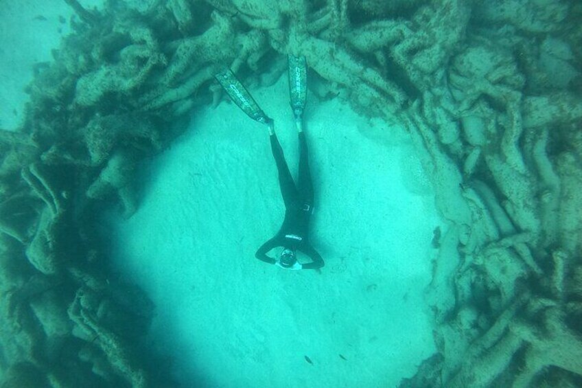 2-Hour Freediving Activity at the Atlantic Museum