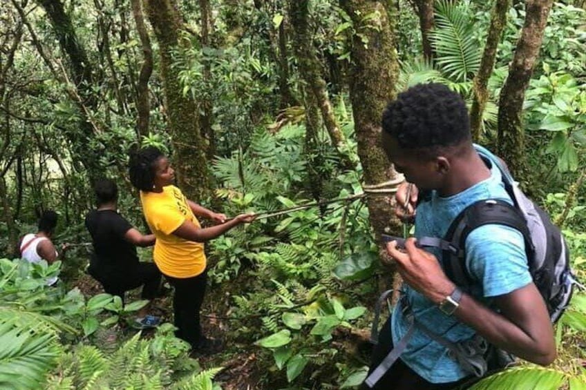 Hiking in Mount Liamuiga (Volcano)