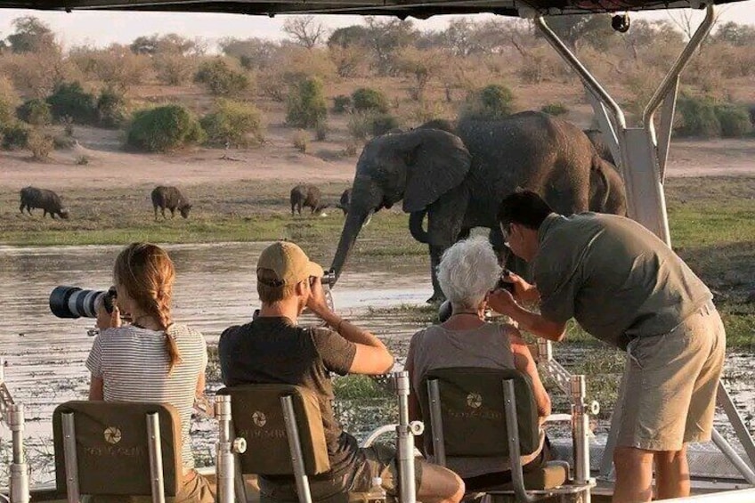 Full-Day Private Chobe Trip Botswana