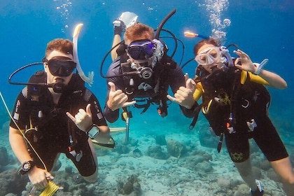 Private Discover Scuba Dive Experience a Curaçao