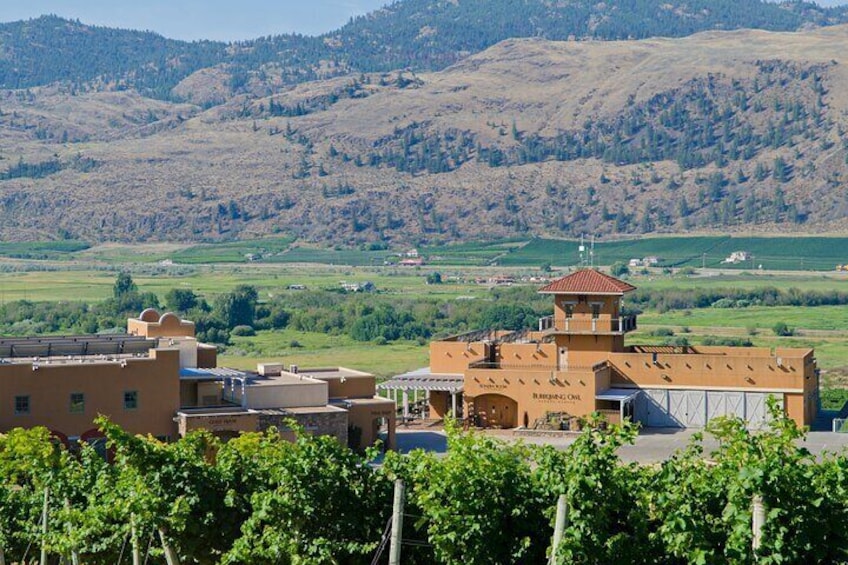 Oliver & Osoyoos Private Wine Tour - Half Day