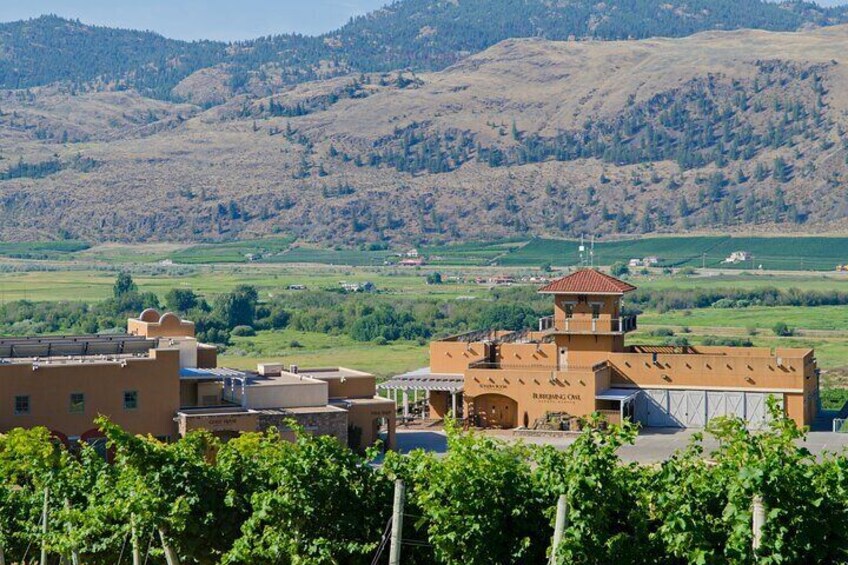 Oliver & Osoyoos Private Wine Tour - Half Day