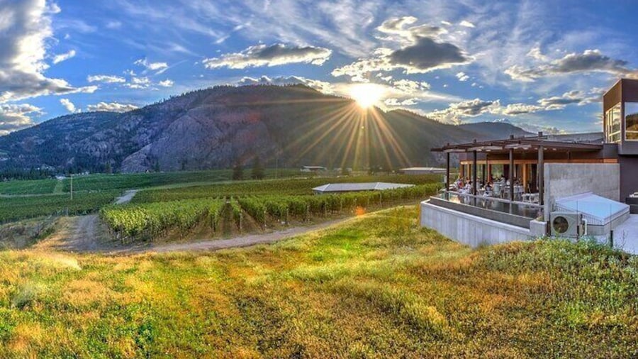 Oliver & Osoyoos Private Wine Tour - Half Day