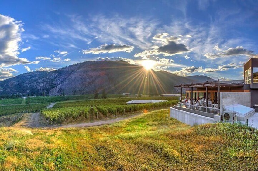 Oliver & Osoyoos Private Wine Tour - Half Day