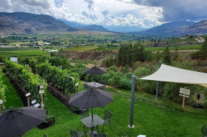 Oliver & Osoyoos Private Wine Tour - Half Day