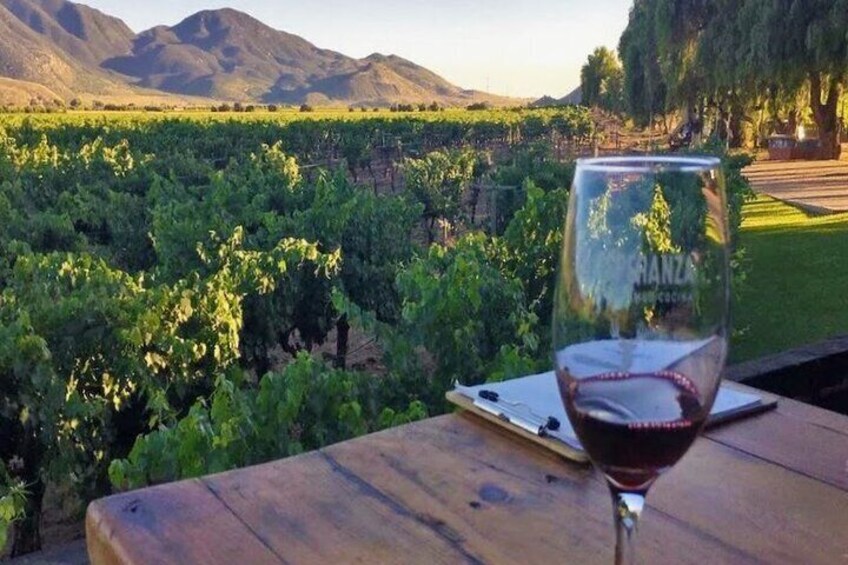 San Diego to Valle de Guadalupe winetasting full day tour