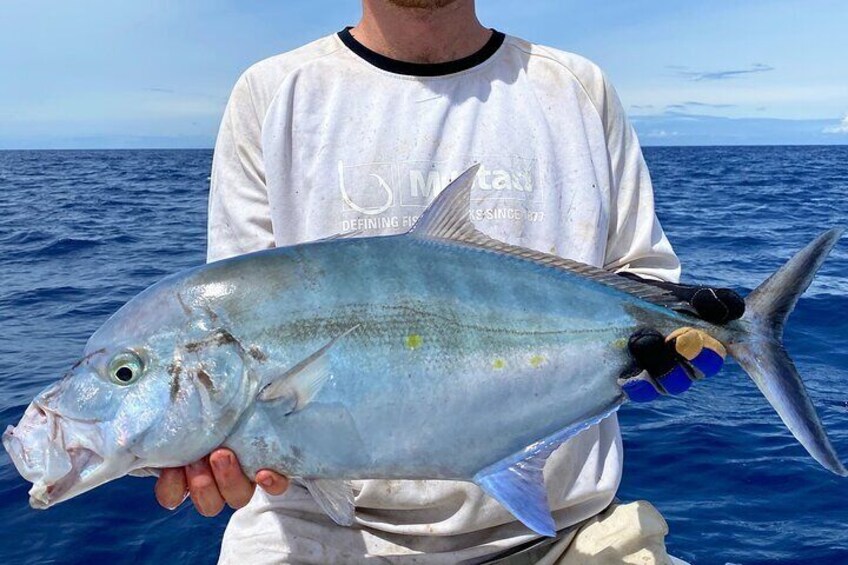 Afternoon Fishing Trip in Waimea