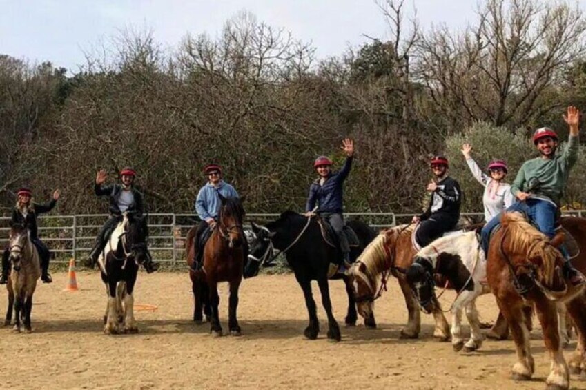 Grimaud horse