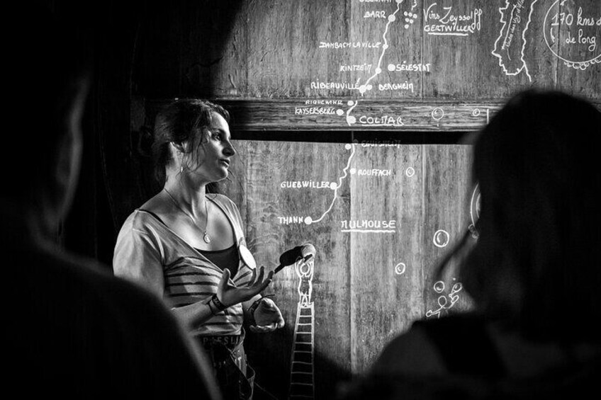 Cellar visit and gourmet wine - tea time around wine