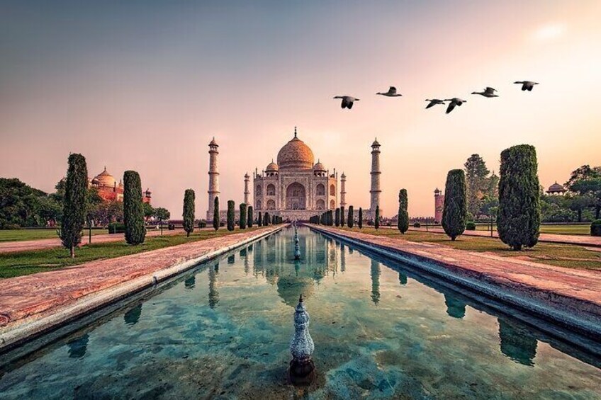Private Full-Day Taj Mahal and Agra Fort Tour from New Delhi