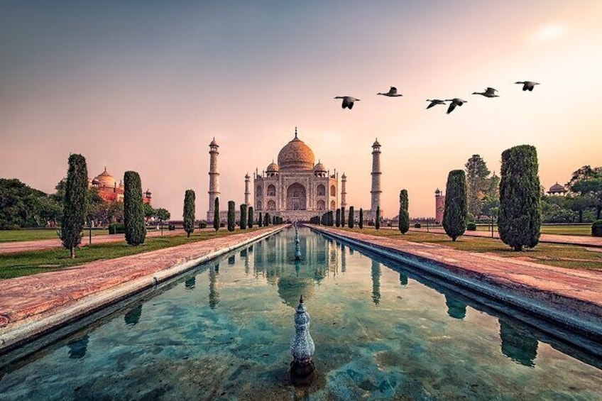 Private Full-Day Taj Mahal and Agra Fort Tour from New Delhi