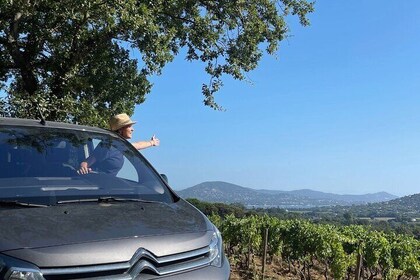 Private 1/2 day wine tour St-Tropez