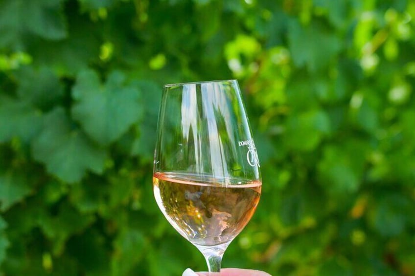 wine tour rosé saint-tropez