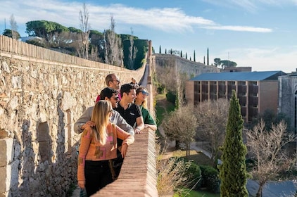Girona City Tour With High-Speed Train From Barcelona