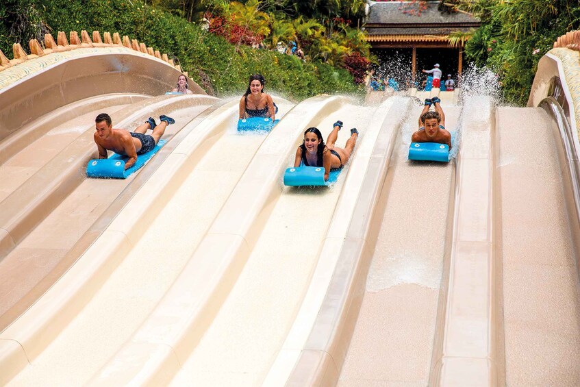 Picture 7 for Activity Tenerife: Siam Park Full-Day VIP Entry Ticket