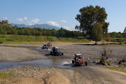 1 Hour Buggy Safari Experience in the Mountains of Mijas with Guide