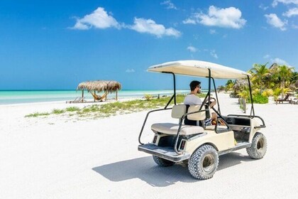 Holbox Island Tour Golf Cart Ferry with Lunch and Transport