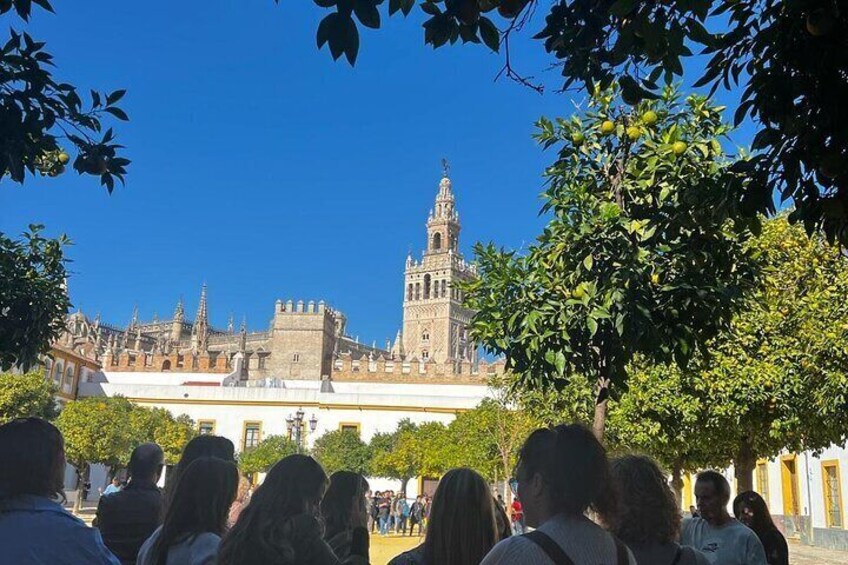 Private Walking Tour: The essential of Seville