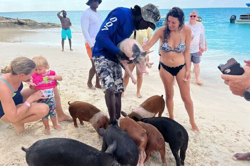 007 Swimming with Pigs Tour on Rose Island