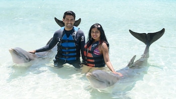 Blue Lagoon Royal Dolphin Swim with Beach Access