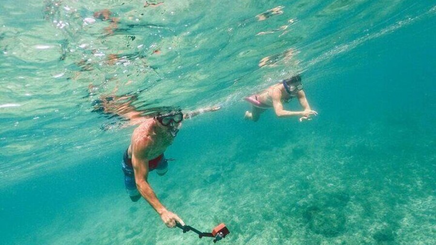 Admission Ticket to Coral World & Coki Point Beach with Snorkeling