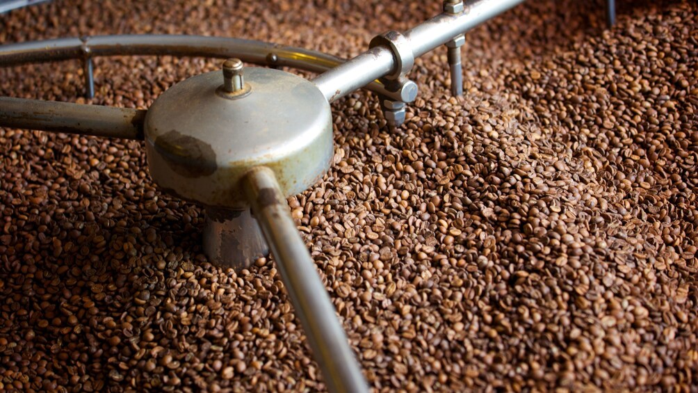 Large amount of coffee beans being mixed on Athens food tour