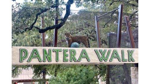 San Antonio: San Antonio Zoo Any Day Ticket