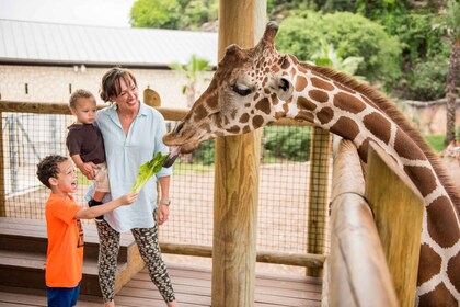 San Antonio : San Antonio Zoo Any Day Ticket