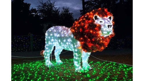 圣安东尼奥：圣安东尼奥动物园任意一日门票