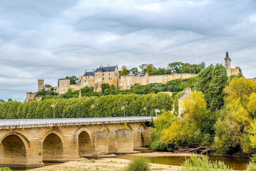 Small-Group Loire Wine Day Tour from Tours