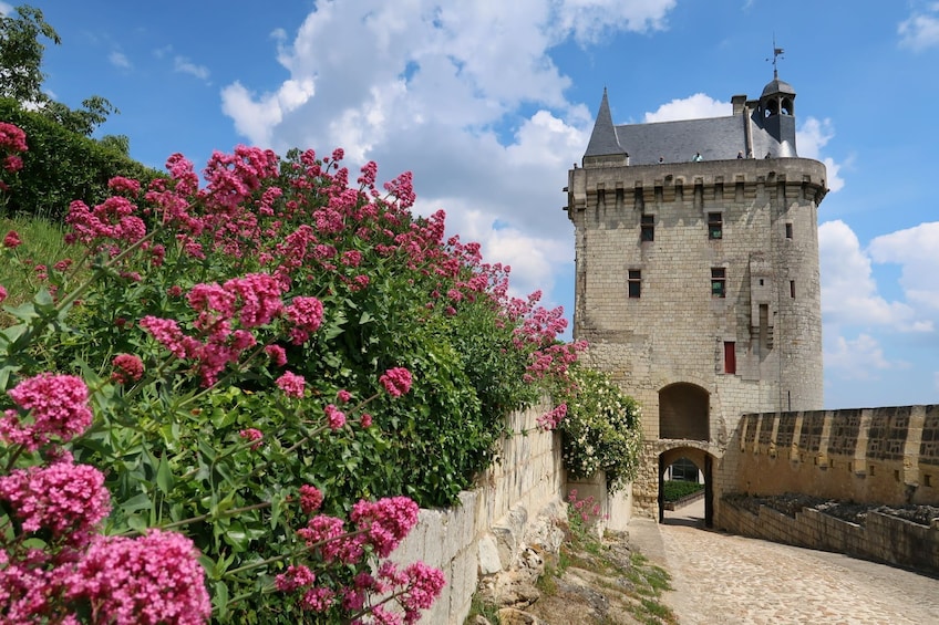 Small-Group Loire Wine Day Tour from Tours