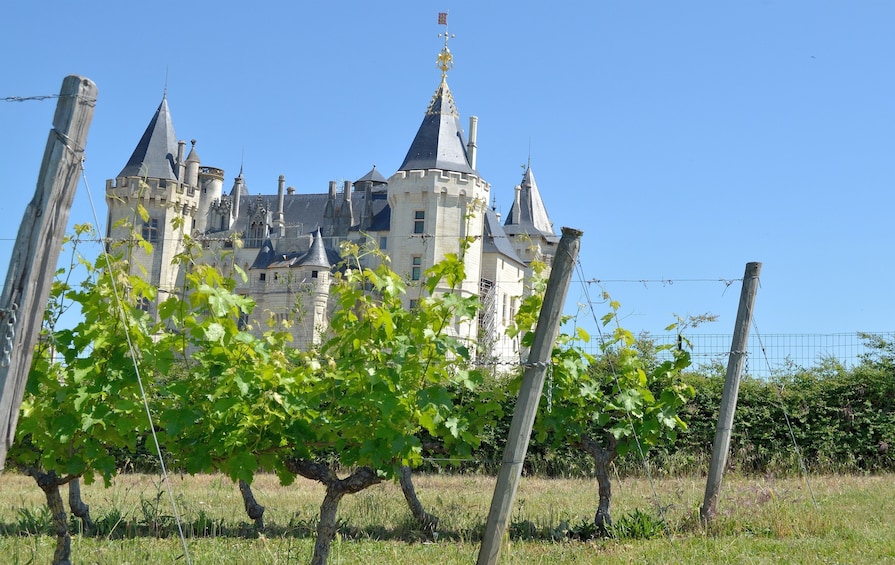 Small-Group Loire Wine Day Tour from Tours