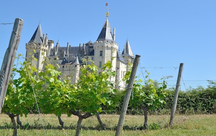 Dagstur med vin från Loire i liten grupp från Tours