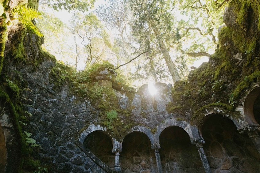 Picture 2 for Activity Sintra: Guided Tour and Entry Ticket to Quinta da Regaleira