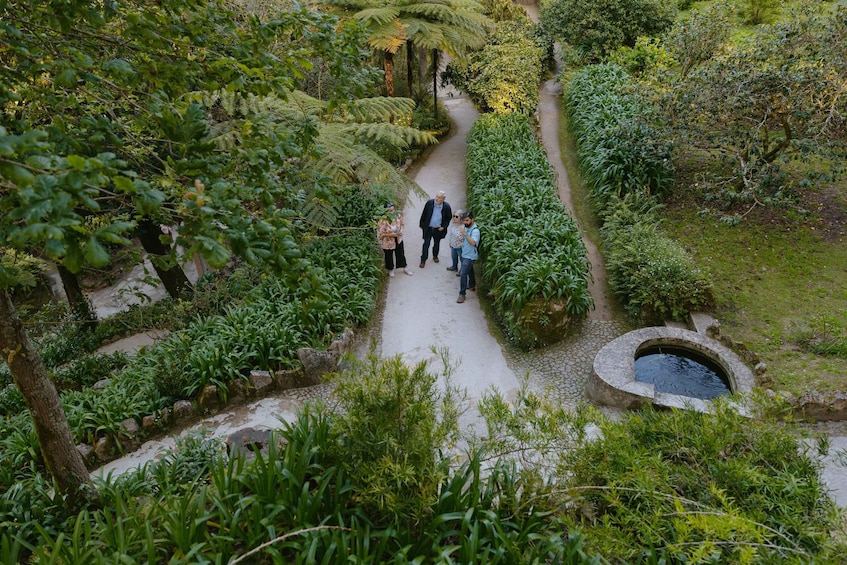 Picture 24 for Activity Sintra: Guided Tour and Entry Ticket to Quinta da Regaleira