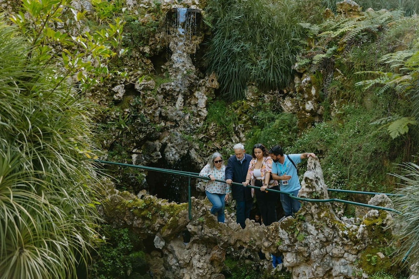 Picture 11 for Activity Sintra: Guided Tour and Entry Ticket to Quinta da Regaleira