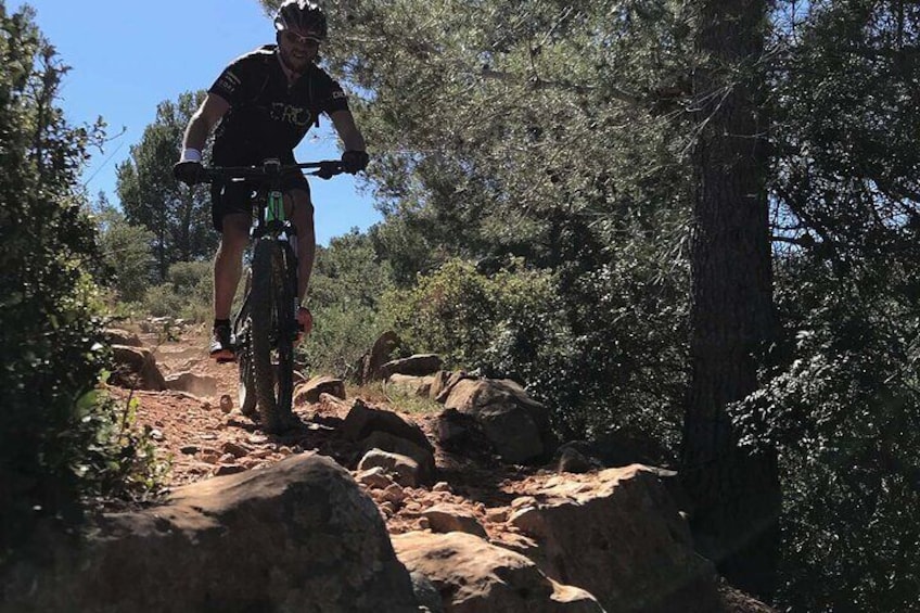 Mountain Bike Tour Font de la Mata