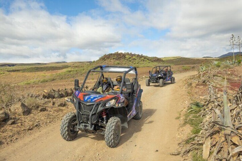 BUGGY RIDE-TOUR SAFARI
