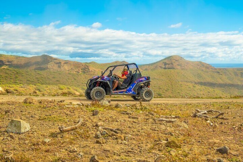 BUGGY RIDE
