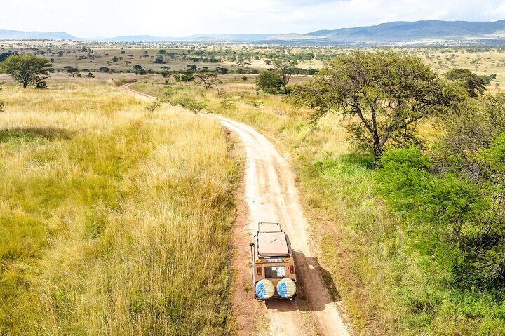 2Day Safari to Serengeti National Park from Zanzibar with Flights