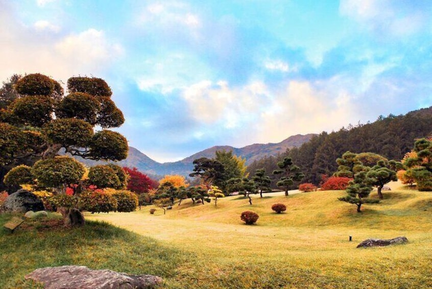 Nami Island& Petite France& Garden of Morning Calm& Italian Village One-Day Tour
