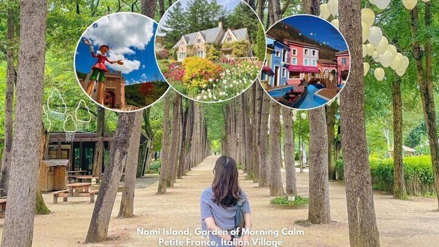 Nami Island& Petite France& Garden of Morning Calm& Italian Village One-Day Tour