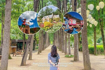 Nami Island& Petite France& Garden of Morning Calm& Italian Village One-Day...