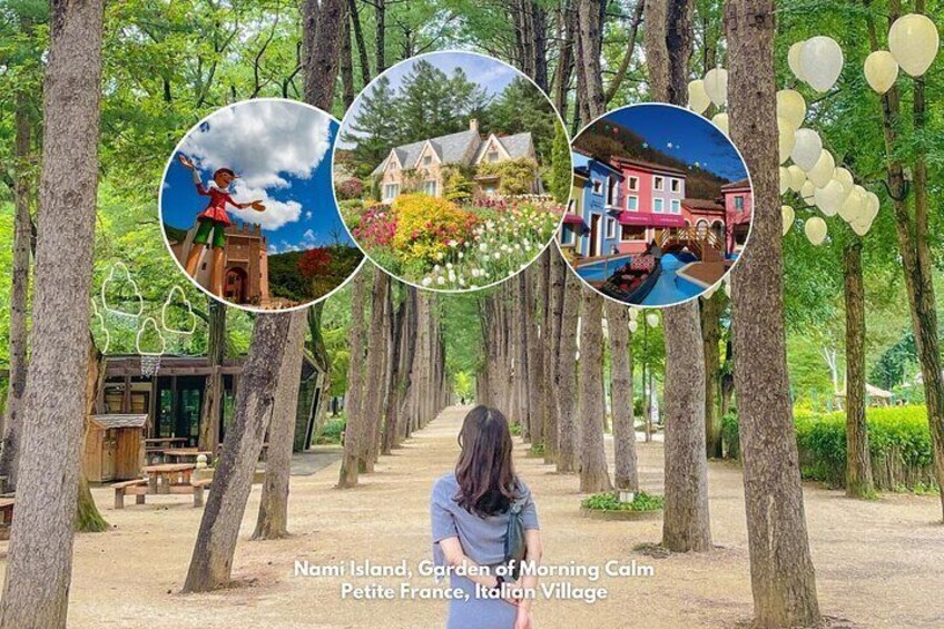 Nami Island& Petite France& Garden of Morning Calm& Italian Village One-Day Tour