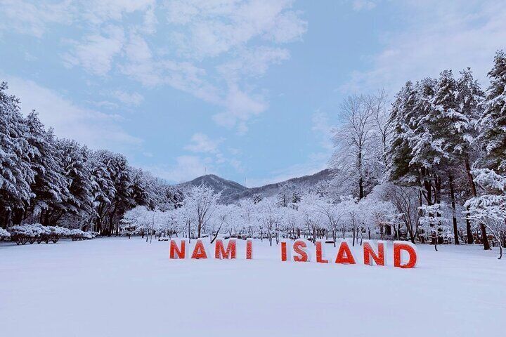 Nami Island & Petite France with Italian Village One-Day Tour 