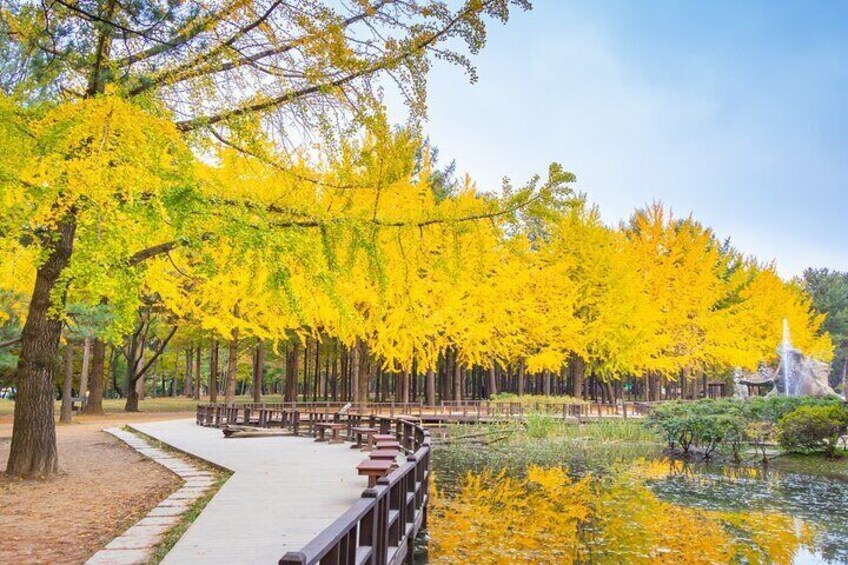 Nami Island & Petite France with Italian Village One-Day Tour 